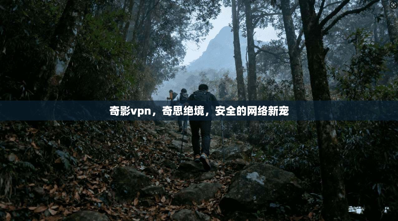 奇影vpn，奇思绝境，安全的网络新宠