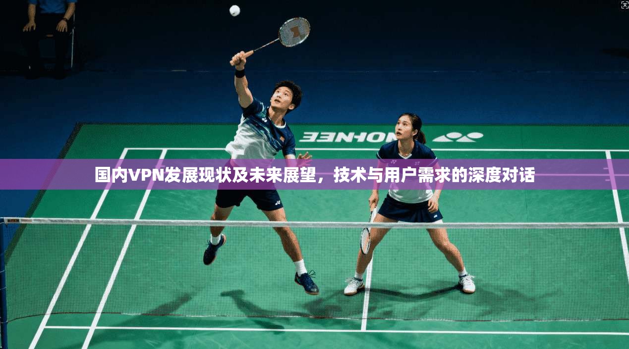 国内VPN发展现状及未来展望，技术与用户需求的深度对话