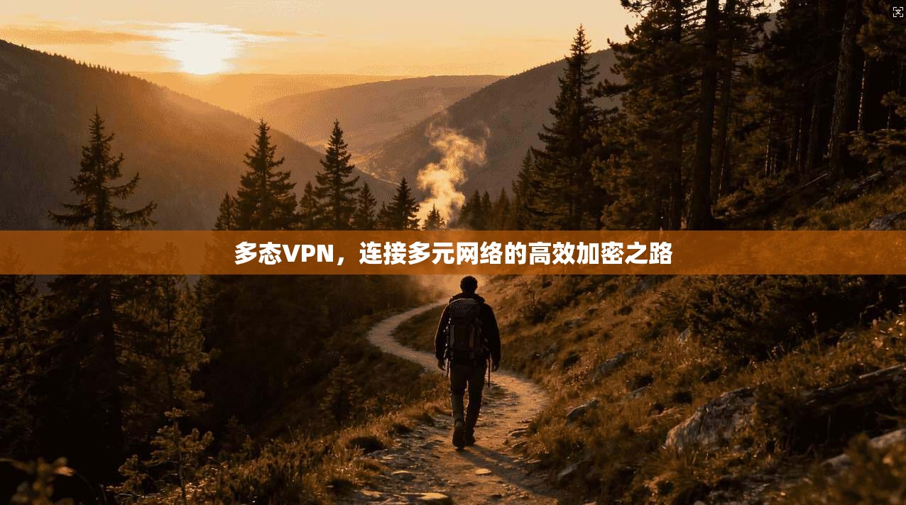 多态VPN，连接多元网络的高效加密之路