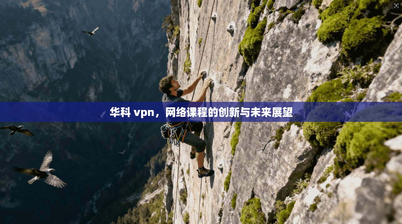华科 vpn，网络课程的创新与未来展望