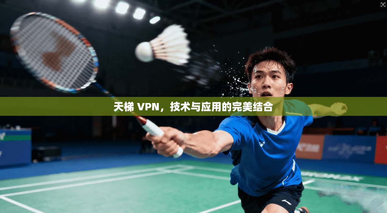 天梯 VPN，技术与应用的完美结合