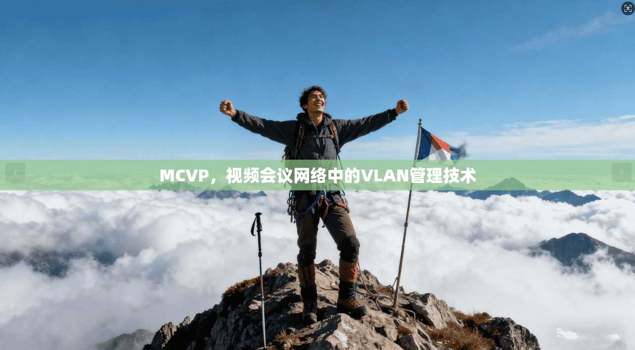 MCVP，视频会议网络中的VLAN管理技术