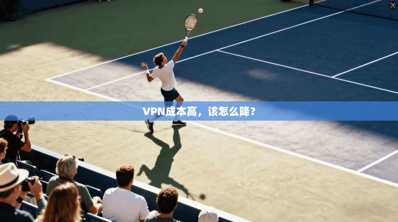 VPN成本高，该怎么降？