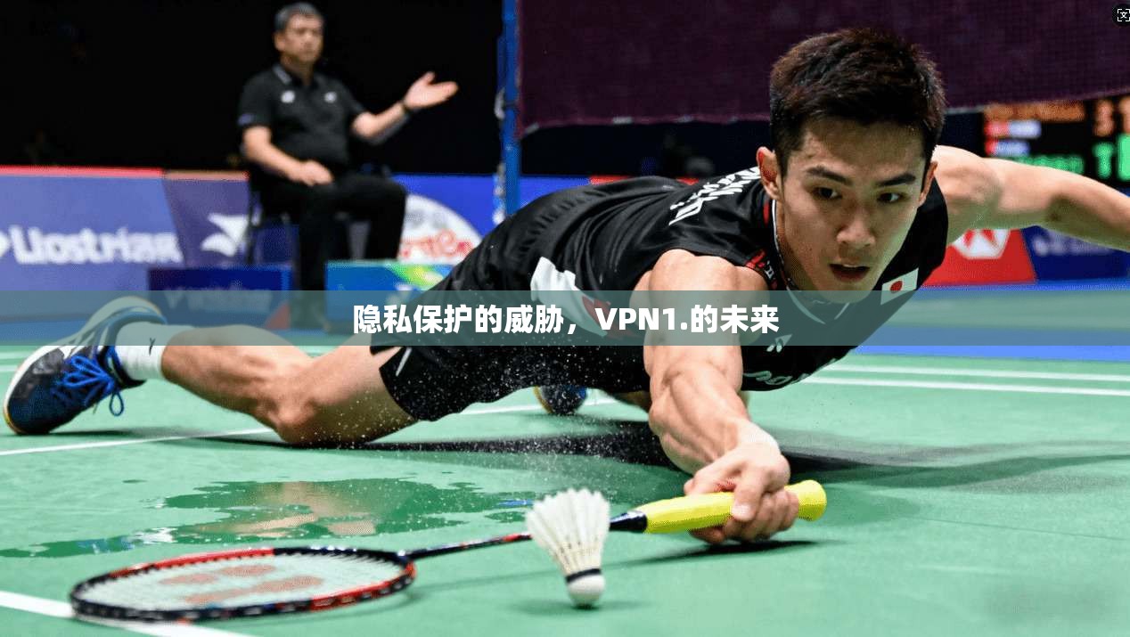 隐私保护的威胁，VPN1.的未来