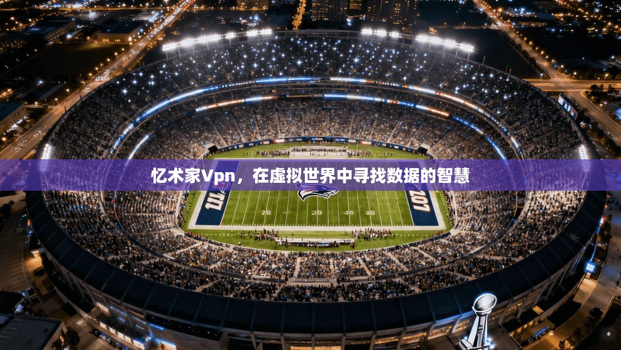 忆术家Vpn,在虚拟世界中寻找数据的智慧