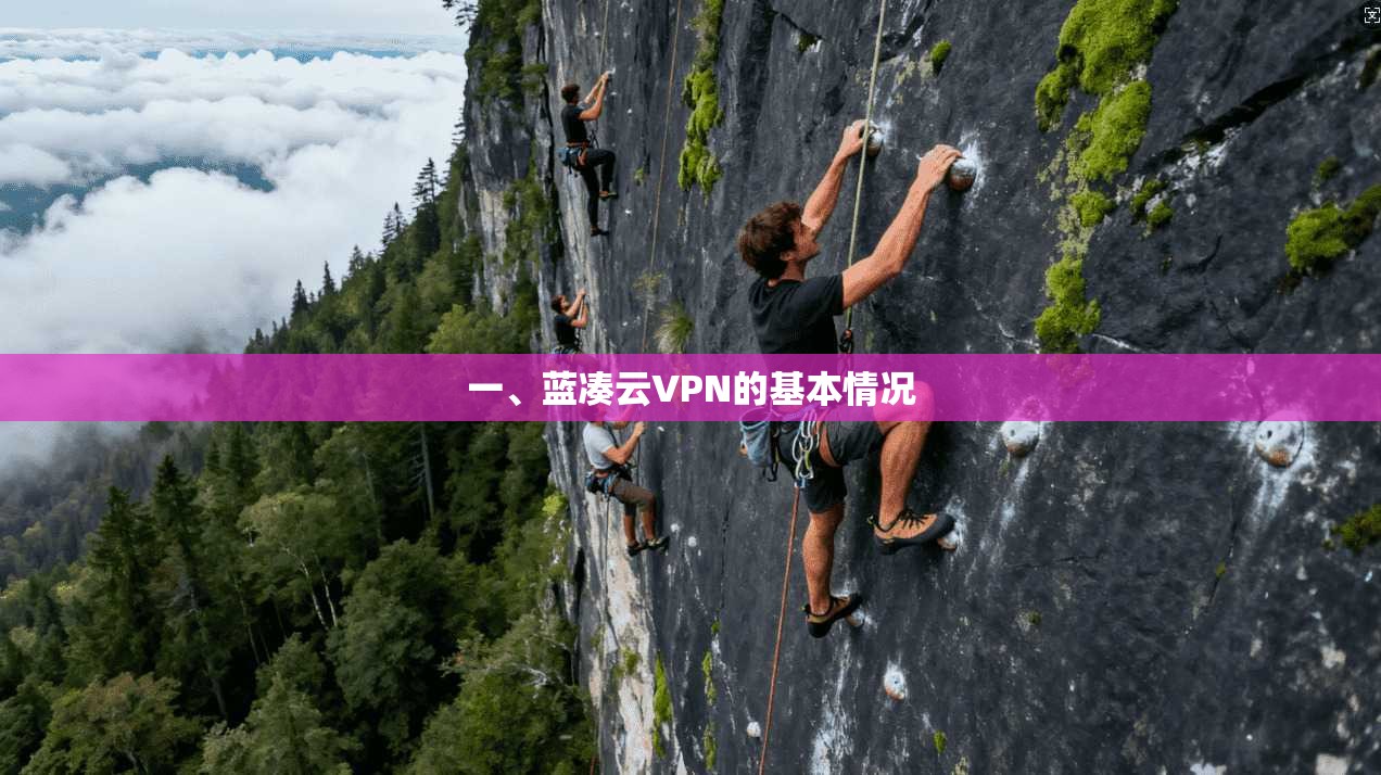 一、蓝凑云VPN的基本情况