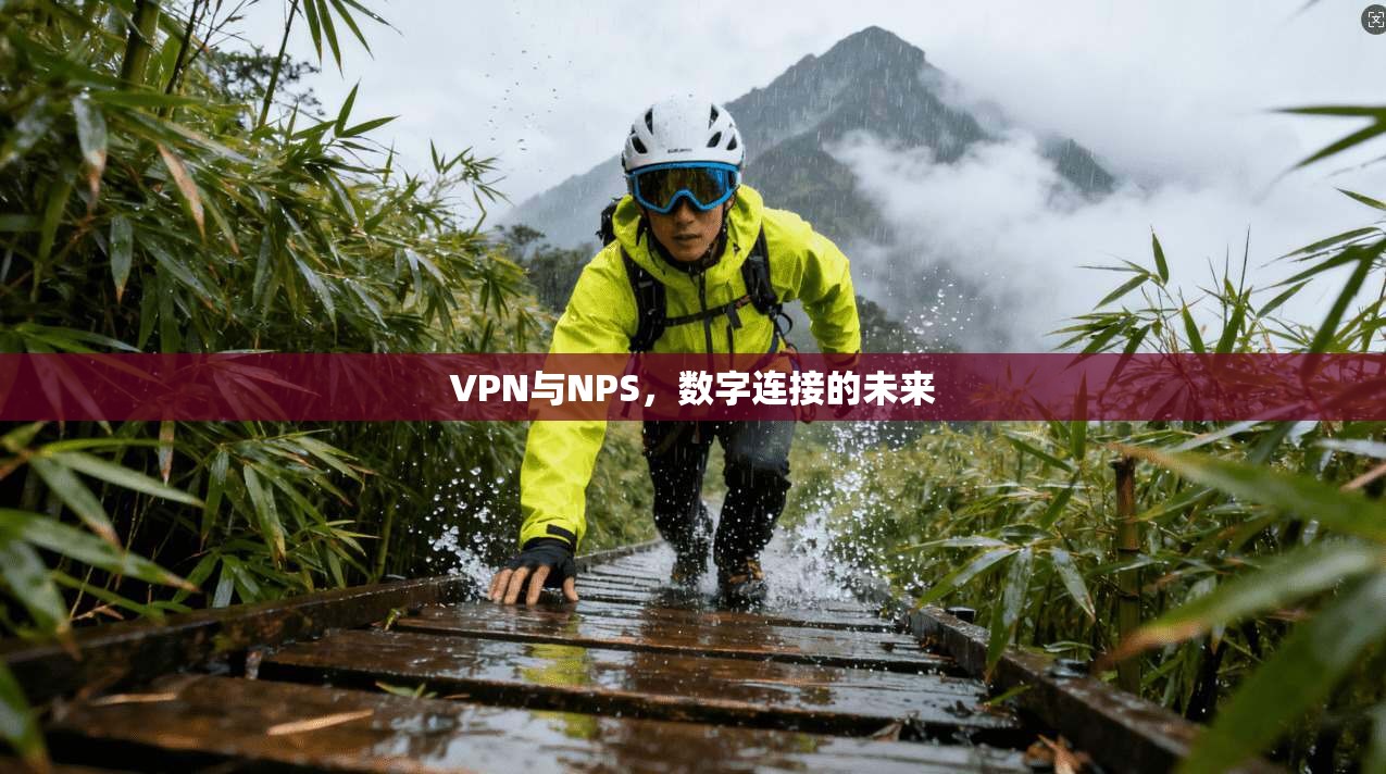 VPN与NPS，数字连接的未来