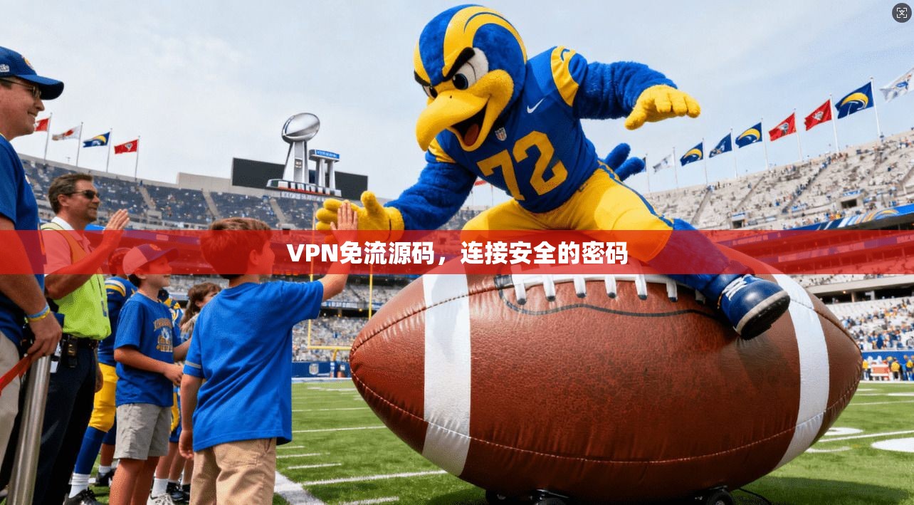 VPN免流源码，连接安全的密码