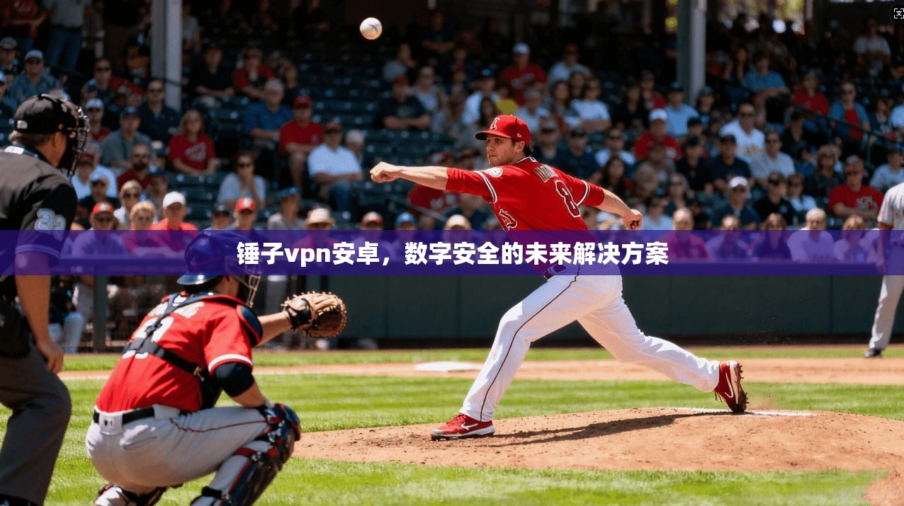 锤子vpn安卓,数字安全的未来解决方案