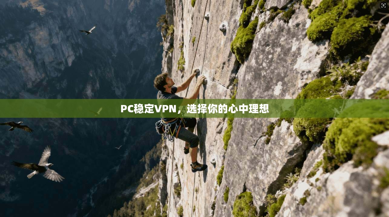PC稳定VPN，选择你的心中理想