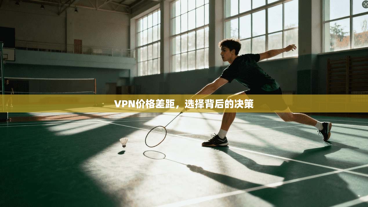 VPN价格差距，选择背后的决策