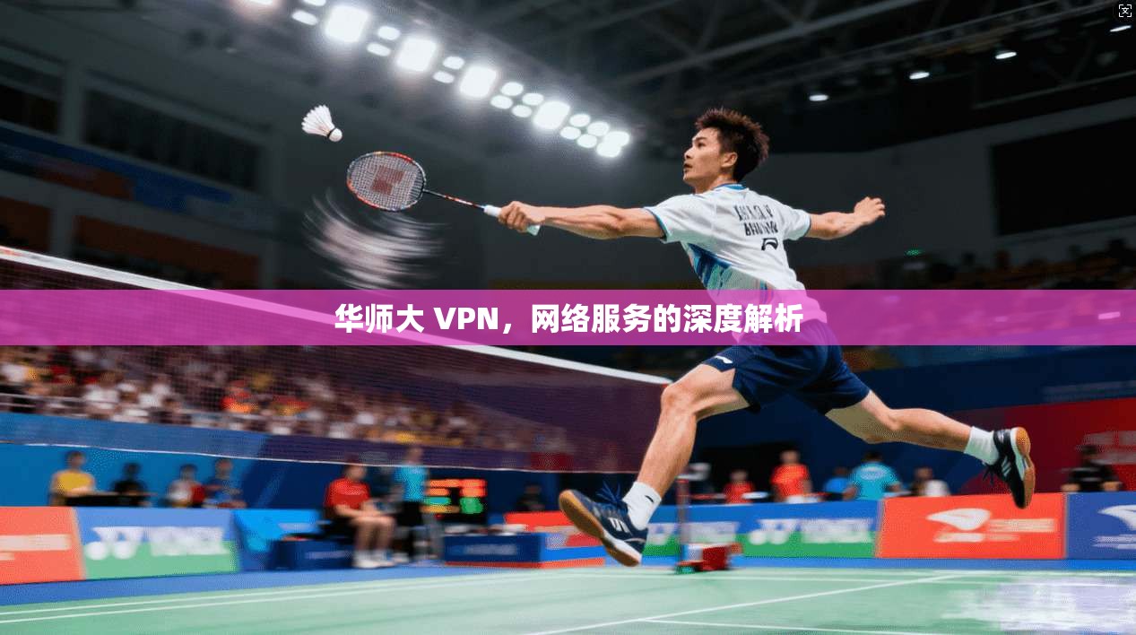 华师大 VPN，网络服务的深度解析