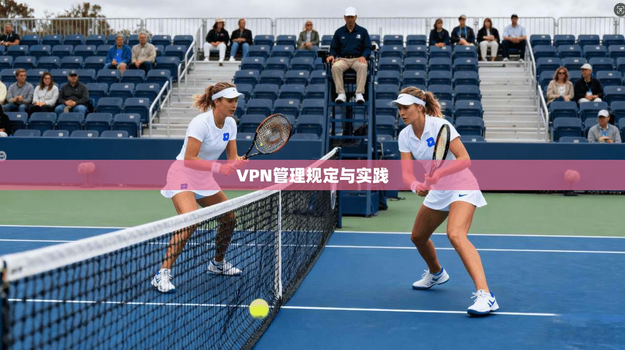 VPN管理规定与实践