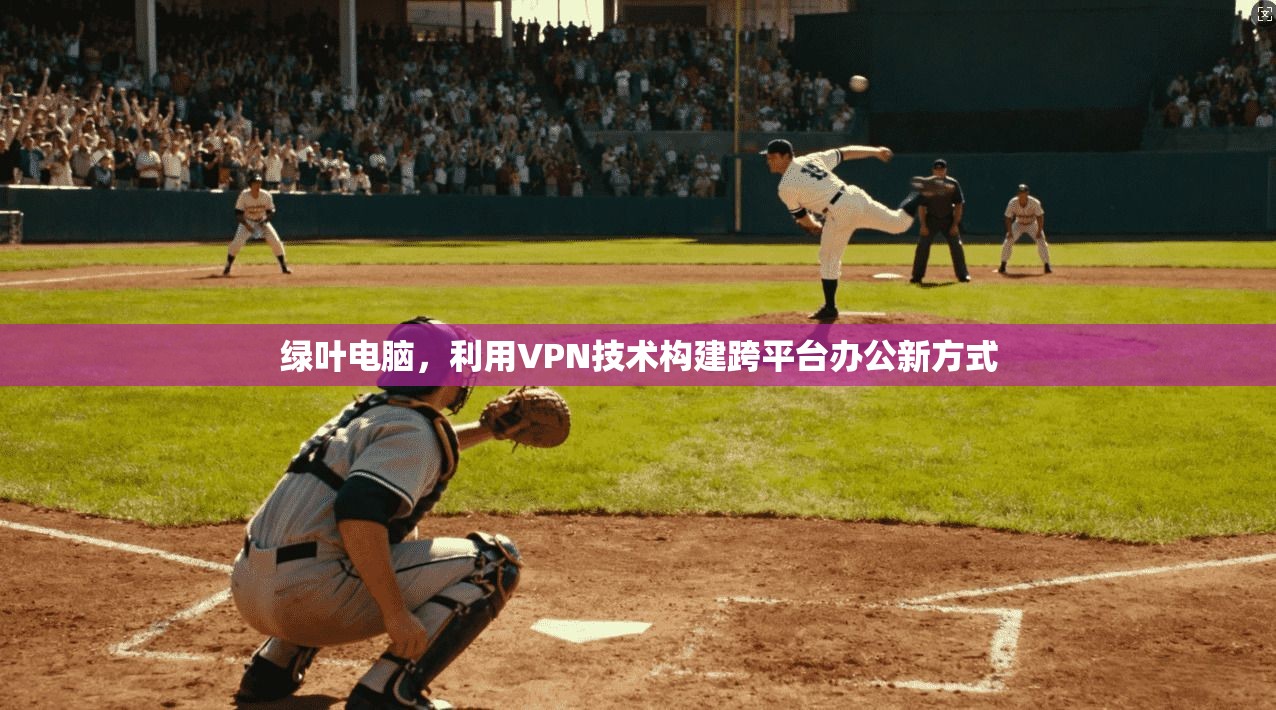 绿叶电脑,利用VPN技术构建跨平台办公新方式
