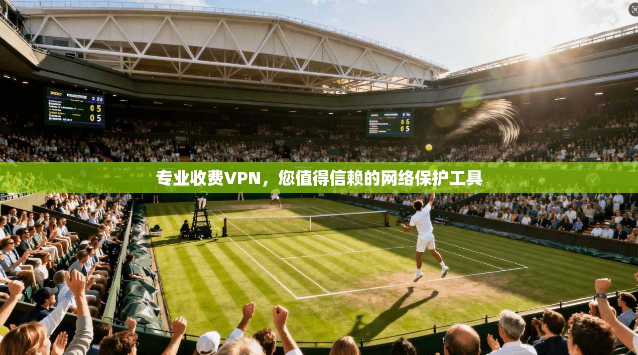 专业收费VPN，您值得信赖的网络保护工具