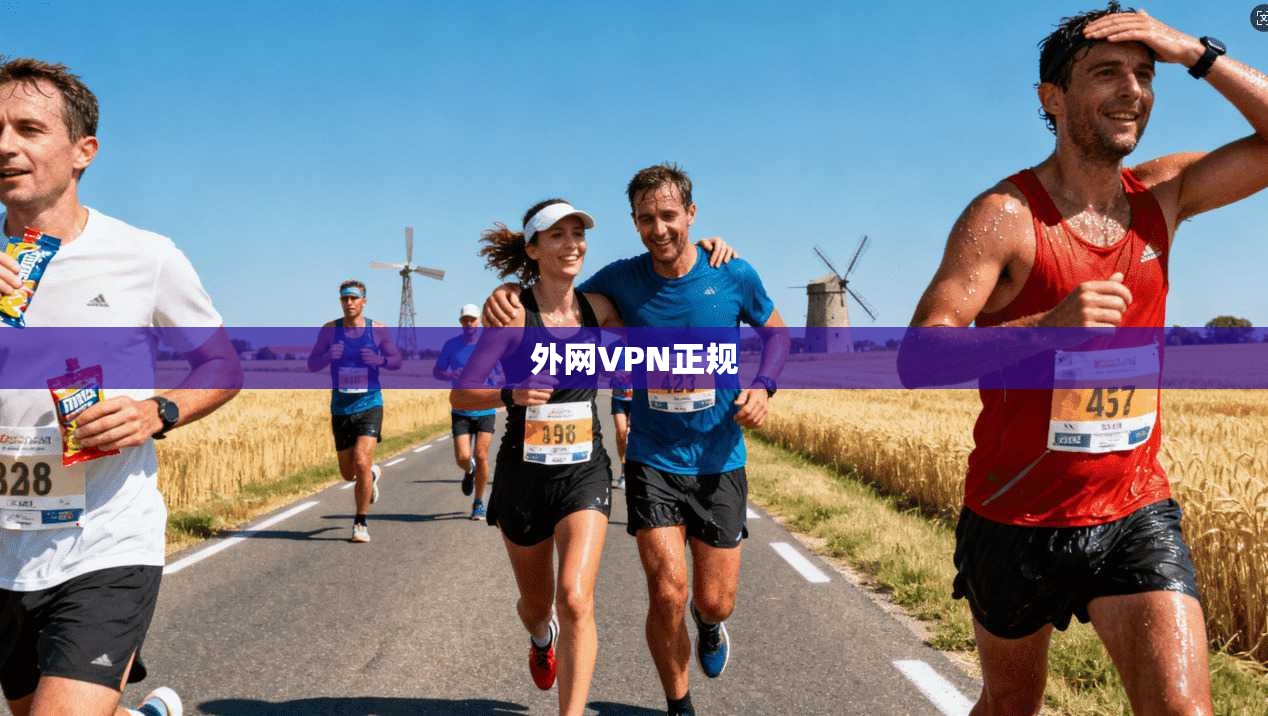外网VPN正规
