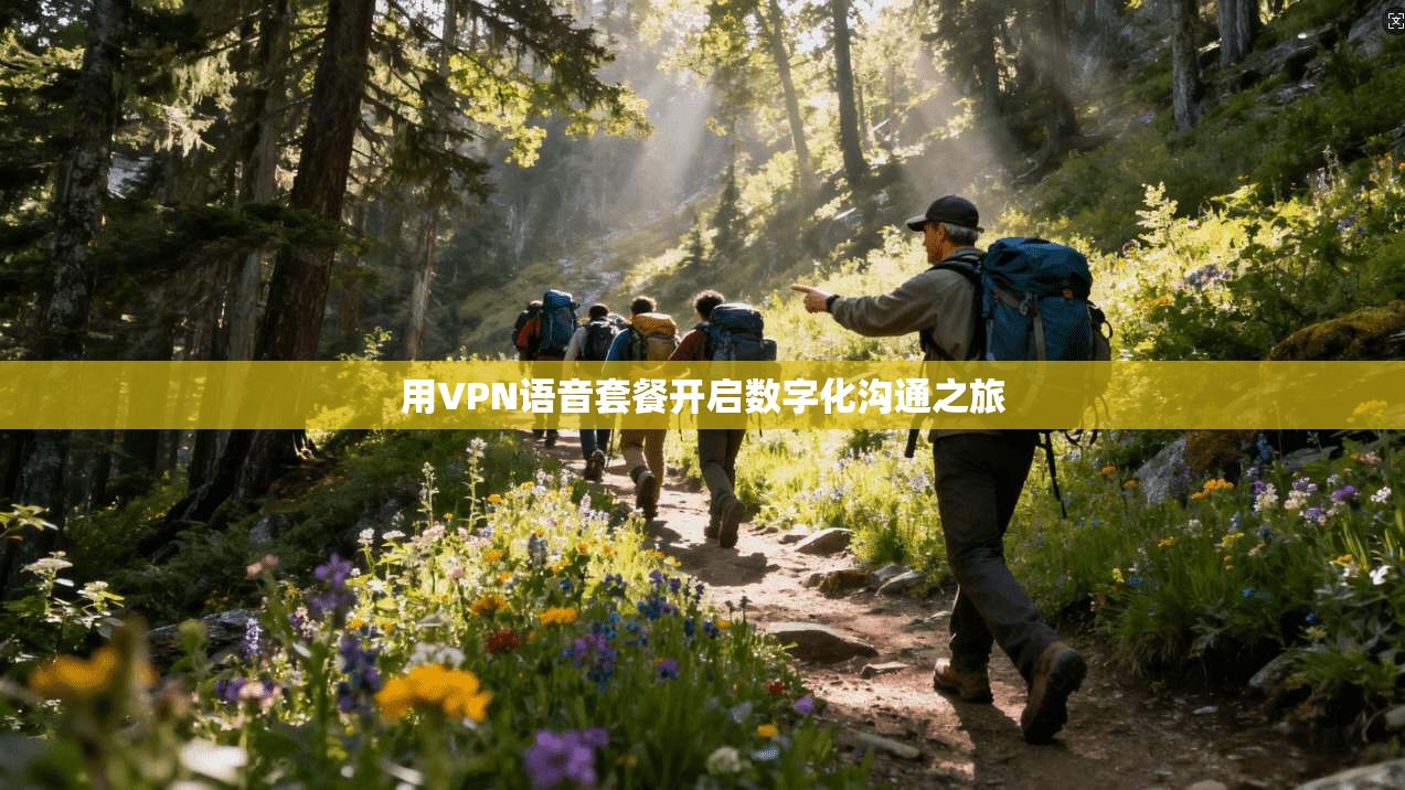 用VPN语音套餐开启数字化沟通之旅