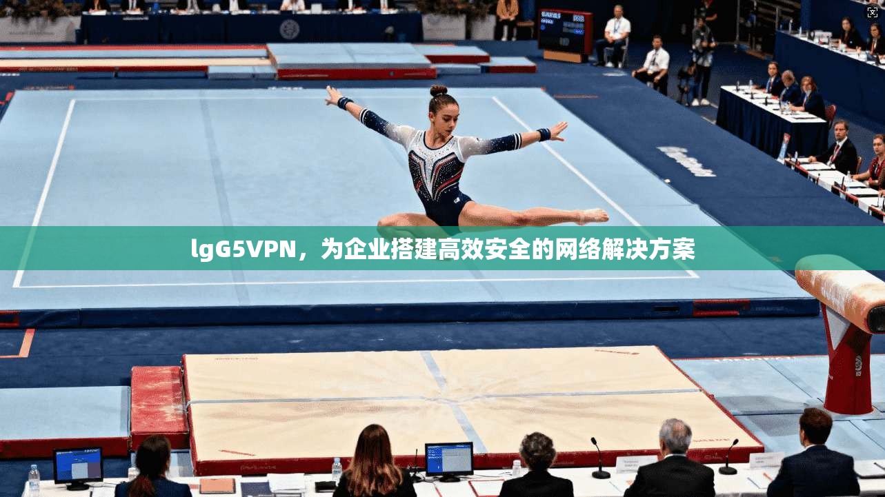 lgG5VPN，为企业搭建高效安全的网络解决方案