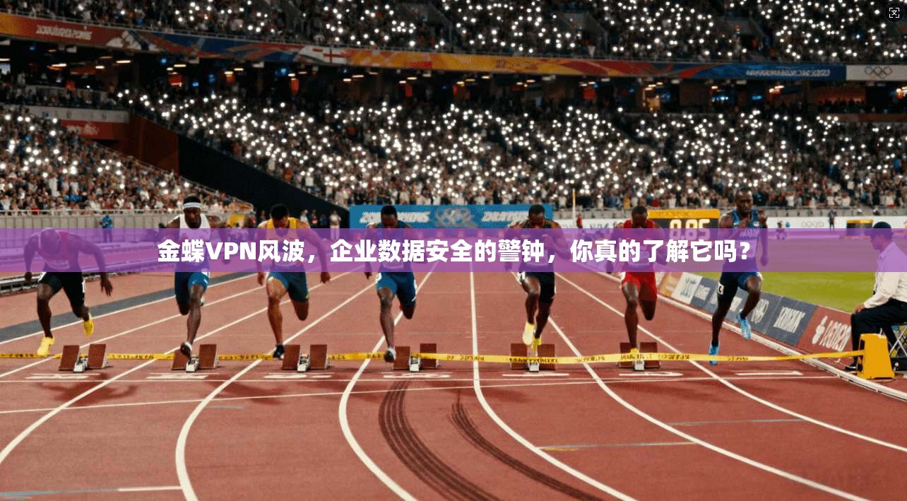 金蝶VPN风波，企业数据安全的警钟，你真的了解它吗？