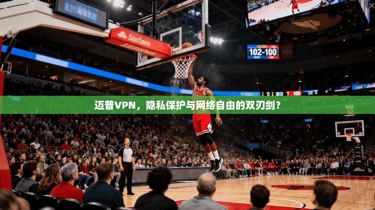 迈普VPN，隐私保护与网络自由的双刃剑？