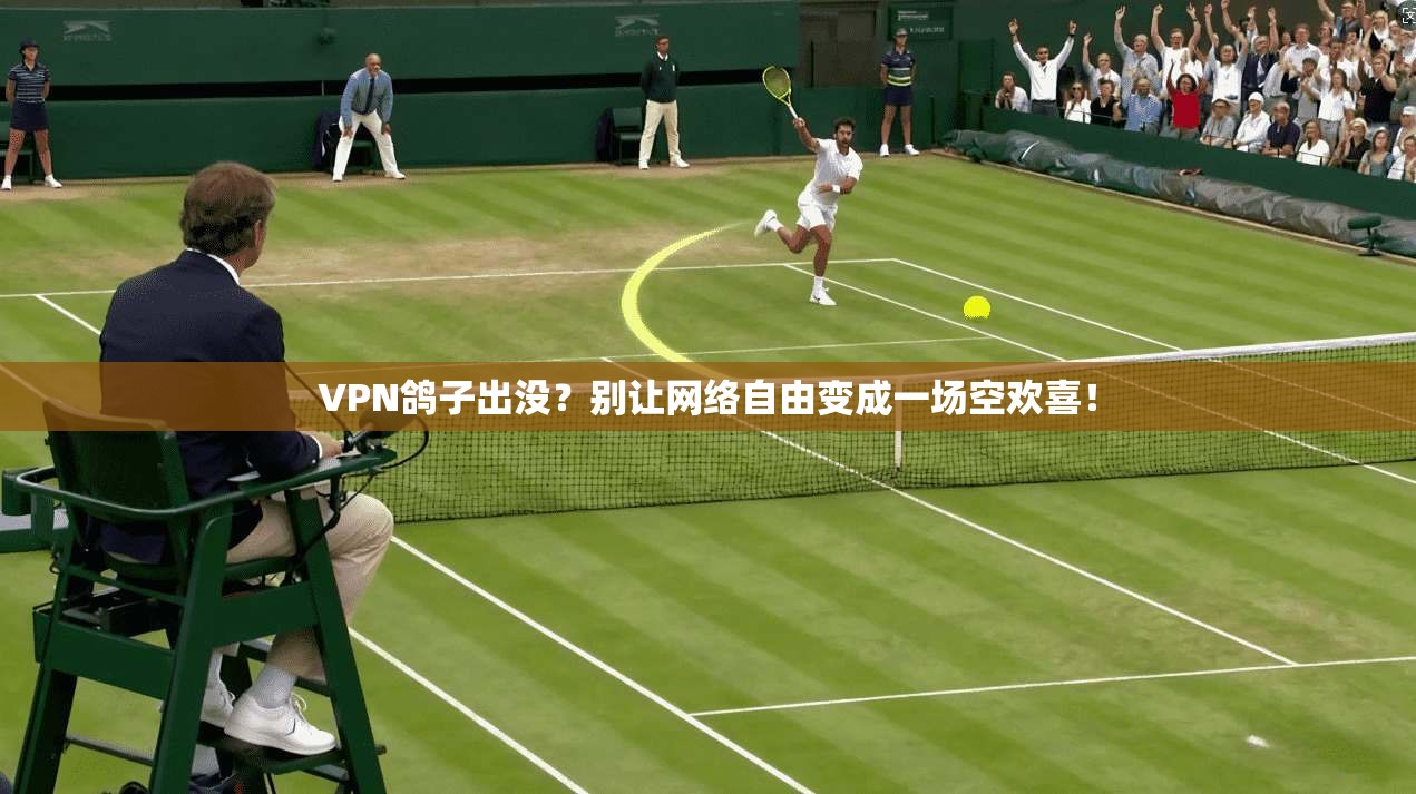 VPN鸽子出没？别让网络自由变成一场空欢喜！