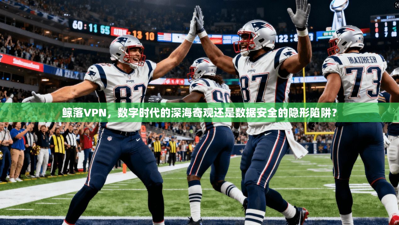 鲸落VPN，数字时代的深海奇观还是数据安全的隐形陷阱？