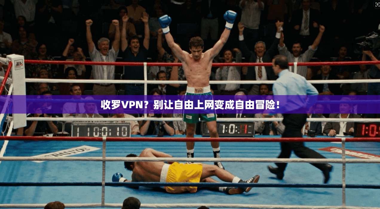 收罗VPN？别让自由上网变成自由冒险！