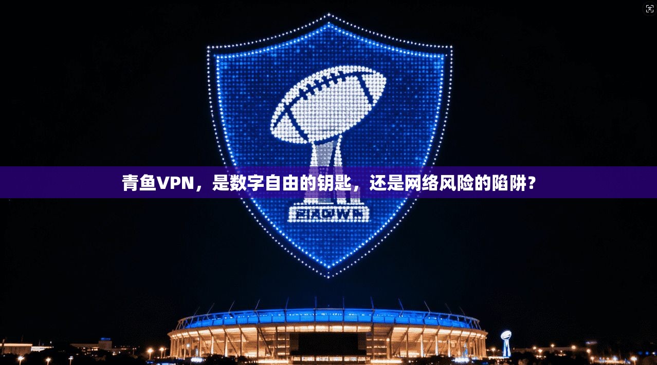 青鱼VPN,是数字自由的钥匙,还是网络风险的陷阱? 青鱼VPN,是数字自由的钥匙,还是网络风险的陷阱?