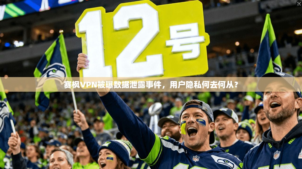赛枫VPN被曝数据泄露事件,用户隐私何去何从?
