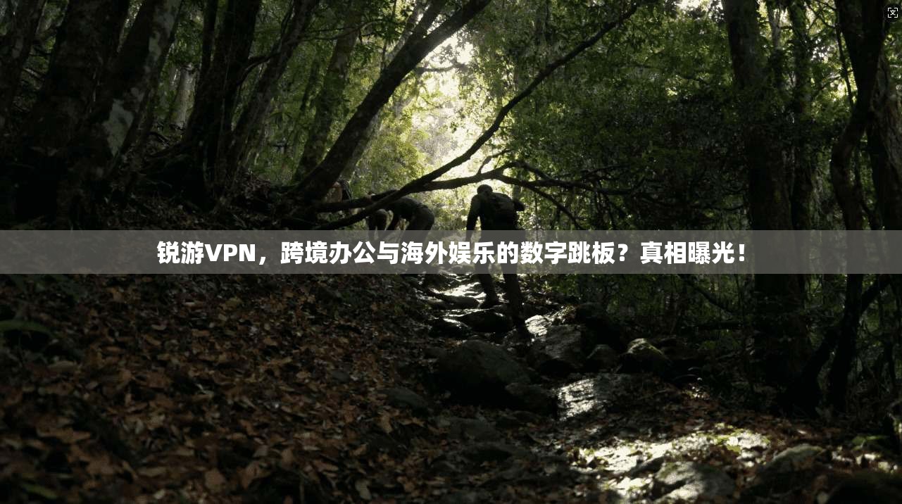 锐游VPN,跨境办公与海外娱乐的数字跳板?真相曝光! 锐游VPN,跨境办公与海外娱乐的数字跳板?真相曝光!