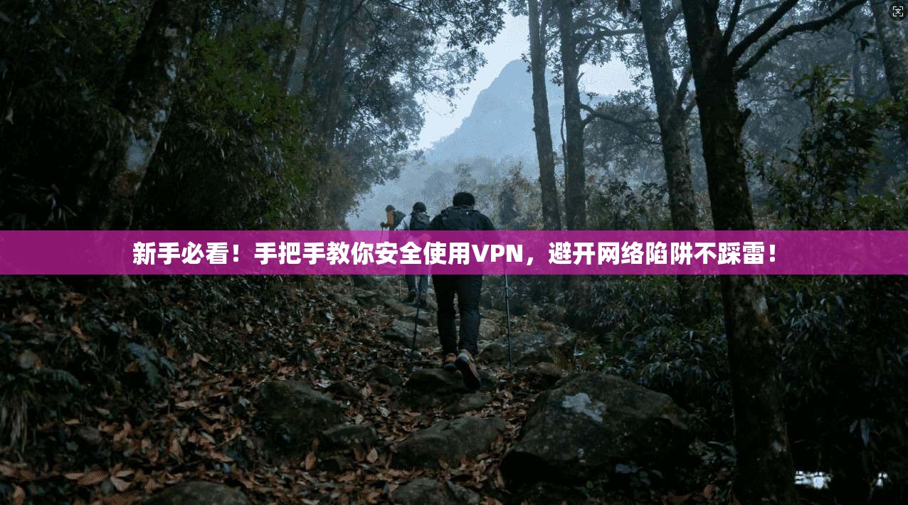 新手必看！手把手教你安全使用VPN，避开网络陷阱不踩雷！