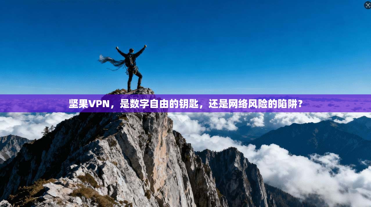 坚果VPN，是数字自由的钥匙，还是网络风险的陷阱？