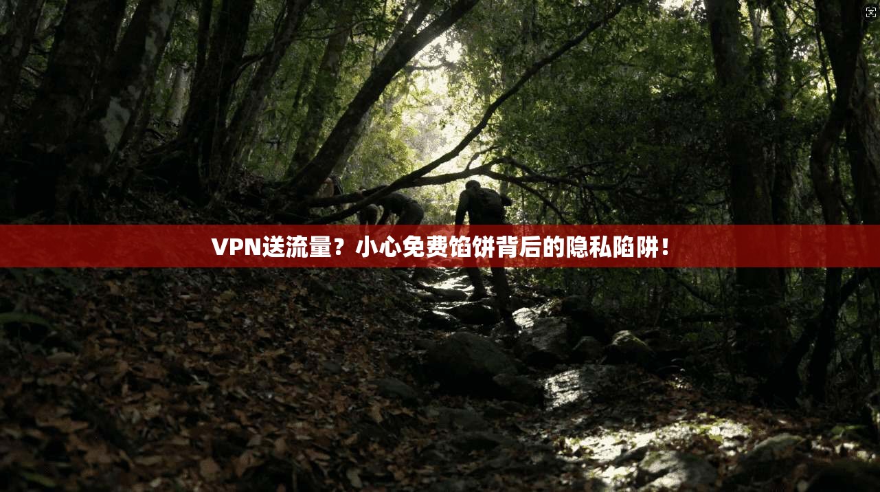 VPN送流量？小心免费馅饼背后的隐私陷阱！