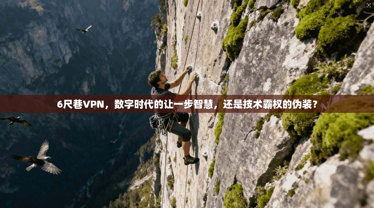 6尺巷VPN，数字时代的让一步智慧，还是技术霸权的伪装？