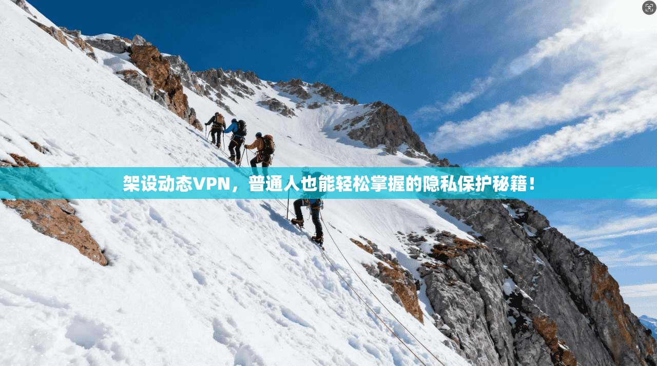 架设动态VPN，普通人也能轻松掌握的隐私保护秘籍！