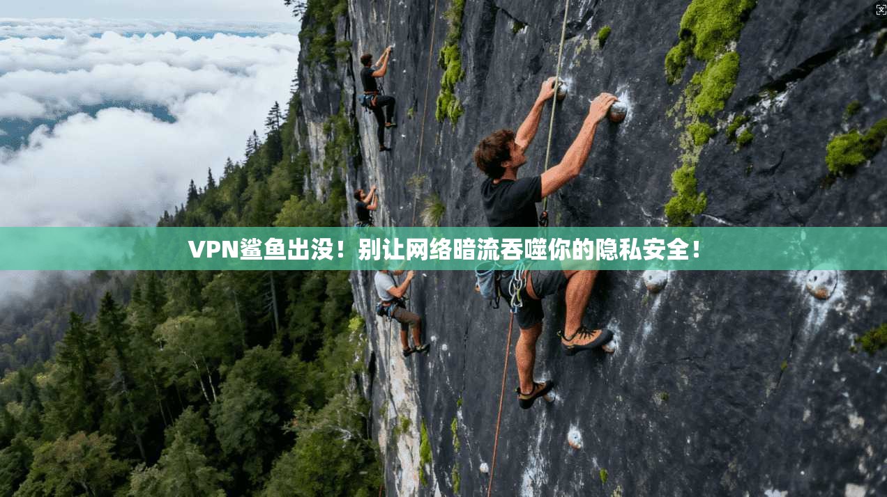 VPN鲨鱼出没！别让网络暗流吞噬你的隐私安全！