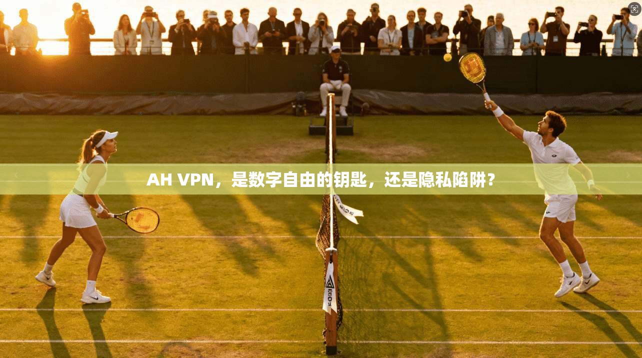 AH VPN，是数字自由的钥匙，还是隐私陷阱？