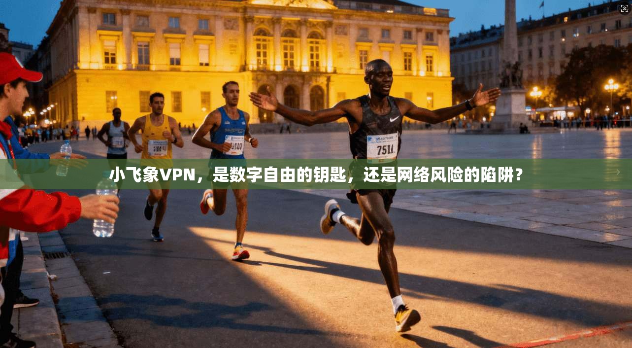 小飞象VPN，是数字自由的钥匙，还是网络风险的陷阱？