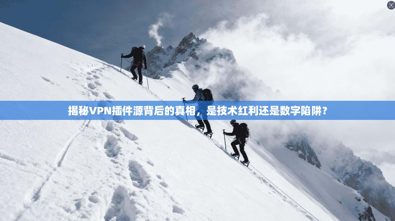 揭秘VPN插件源背后的真相，是技术红利还是数字陷阱？
