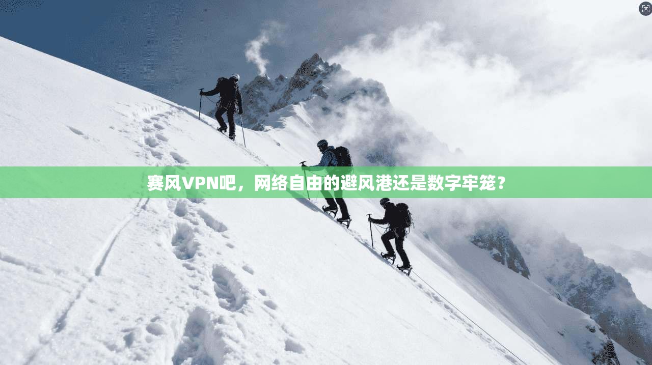 赛风VPN吧，网络自由的避风港还是数字牢笼？