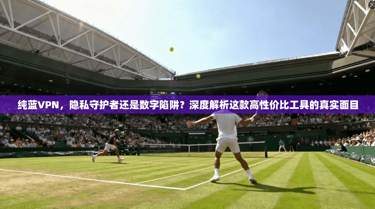 纯蓝VPN,隐私守护者还是数字陷阱?深度解析这款高性价比工具的真实面目
