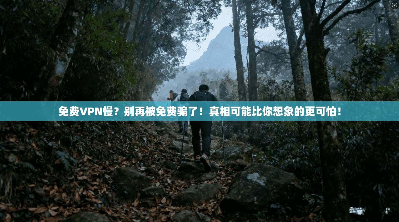 免费VPN慢？别再被免费骗了！真相可能比你想象的更可怕！