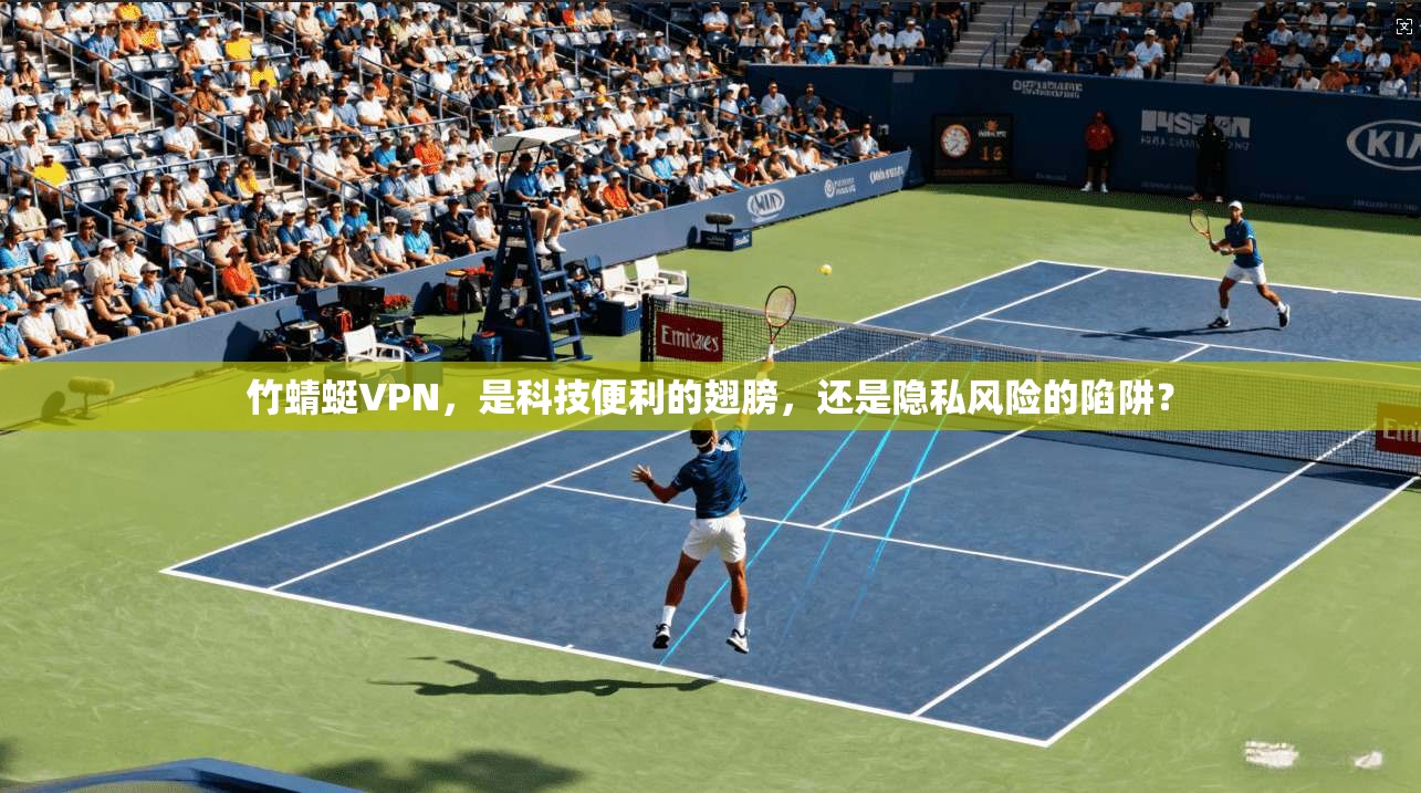 竹蜻蜓VPN，是科技便利的翅膀，还是隐私风险的陷阱？