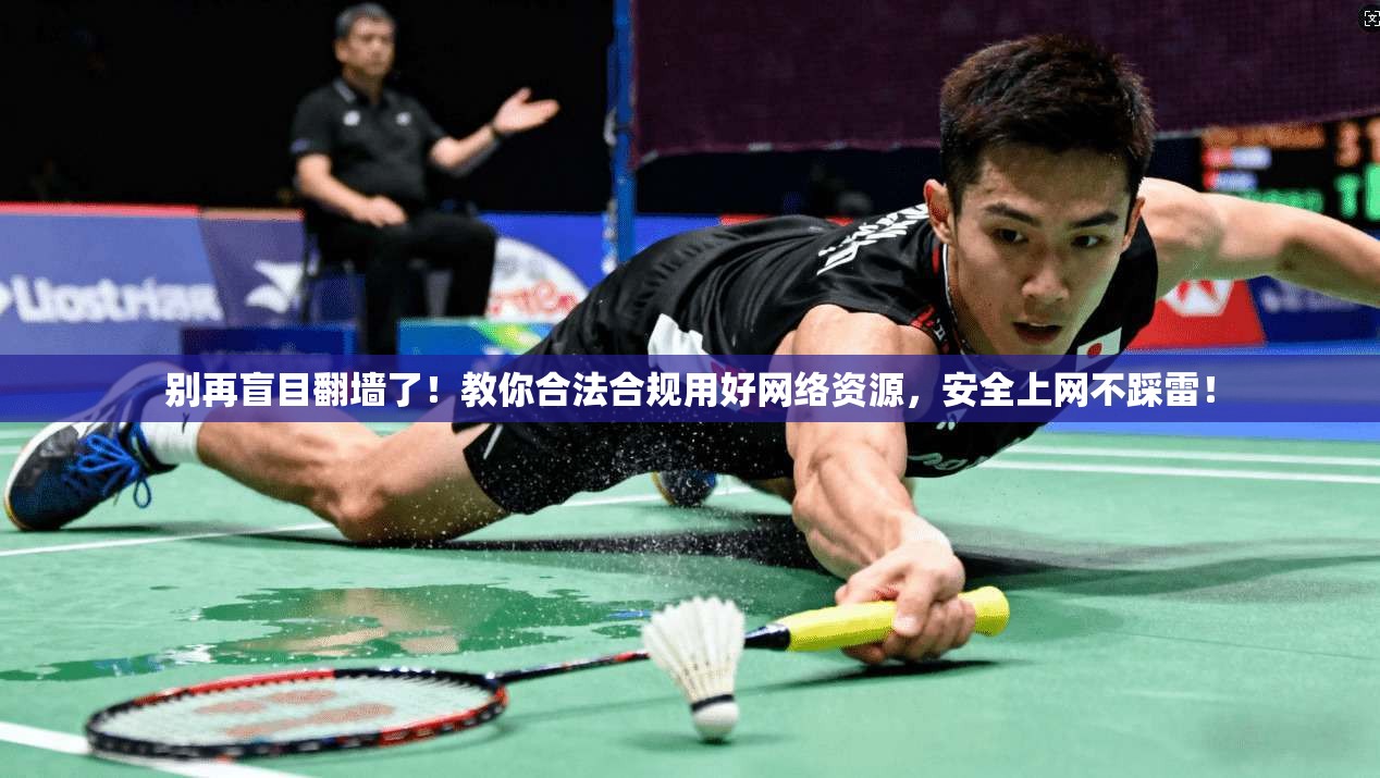 别再盲目翻墙了！教你合法合规用好网络资源，安全上网不踩雷！