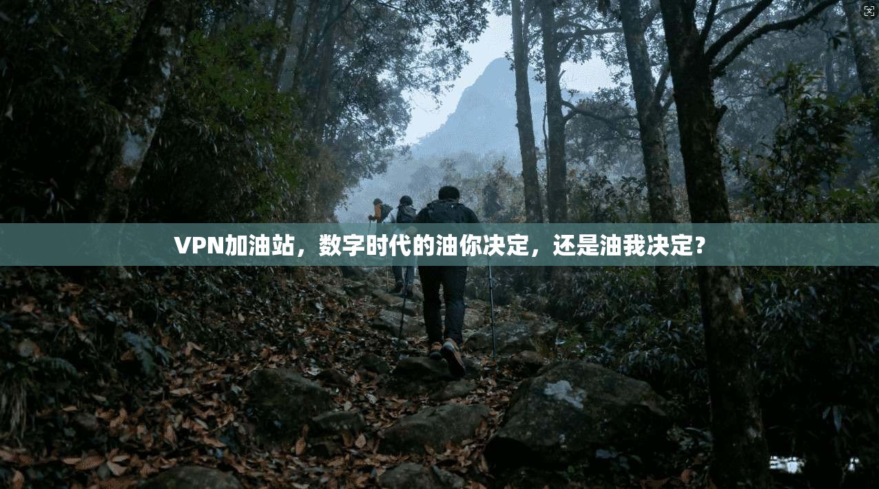 VPN加油站，数字时代的油你决定，还是油我决定？