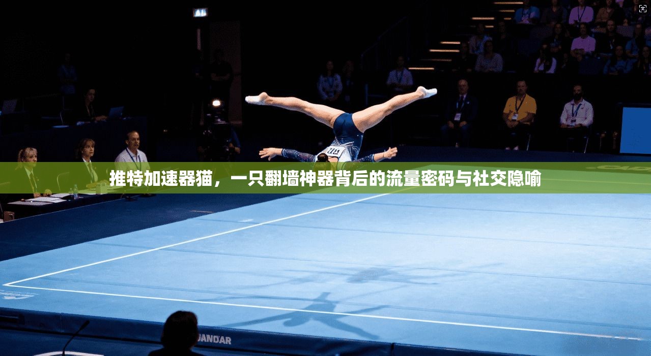 推特加速器猫,一只翻墙神器背后的流量密码与社交隐喻