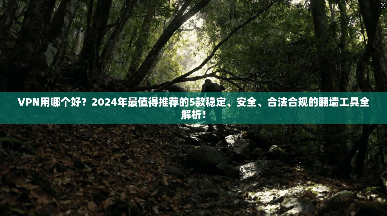 VPN用哪个好?2024年最值得推荐的5款稳定、安全、合法合规的翻墙工具全解析!