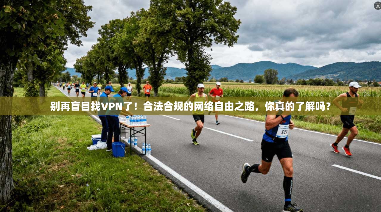别再盲目找VPN了!合法合规的网络自由之路,你真的了解吗?