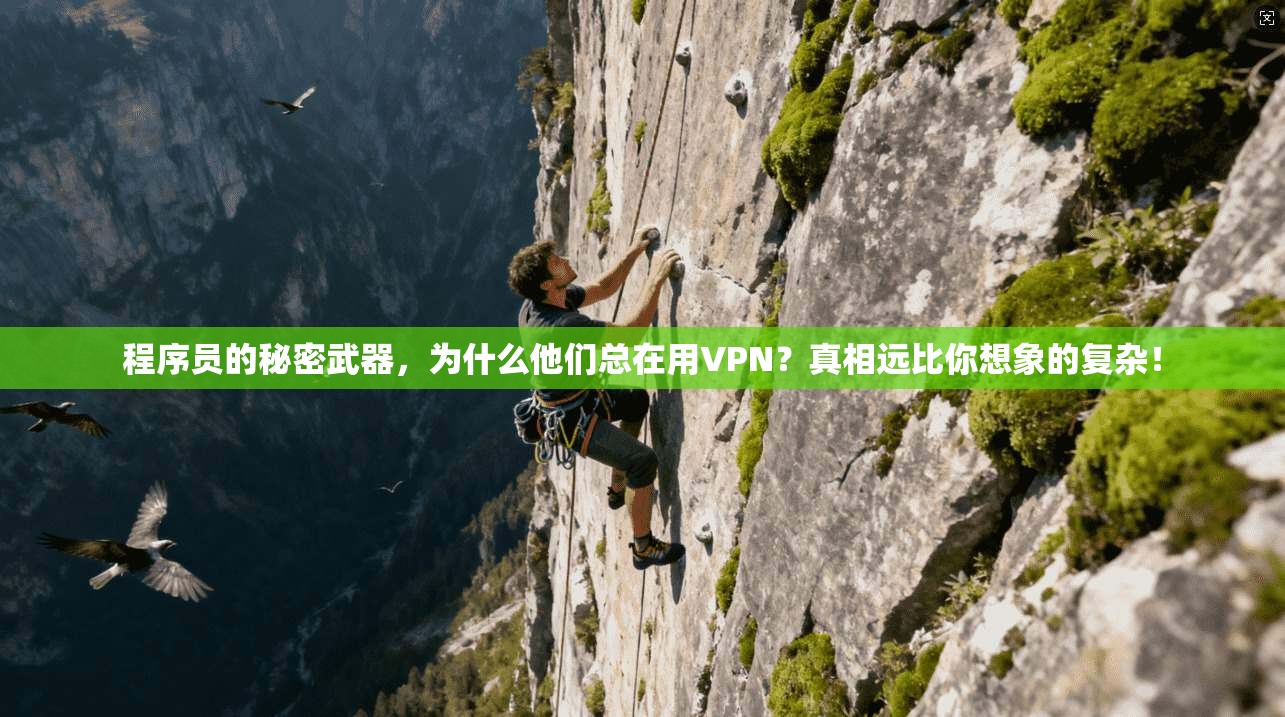 程序员的秘密武器，为什么他们总在用VPN？真相远比你想象的复杂！