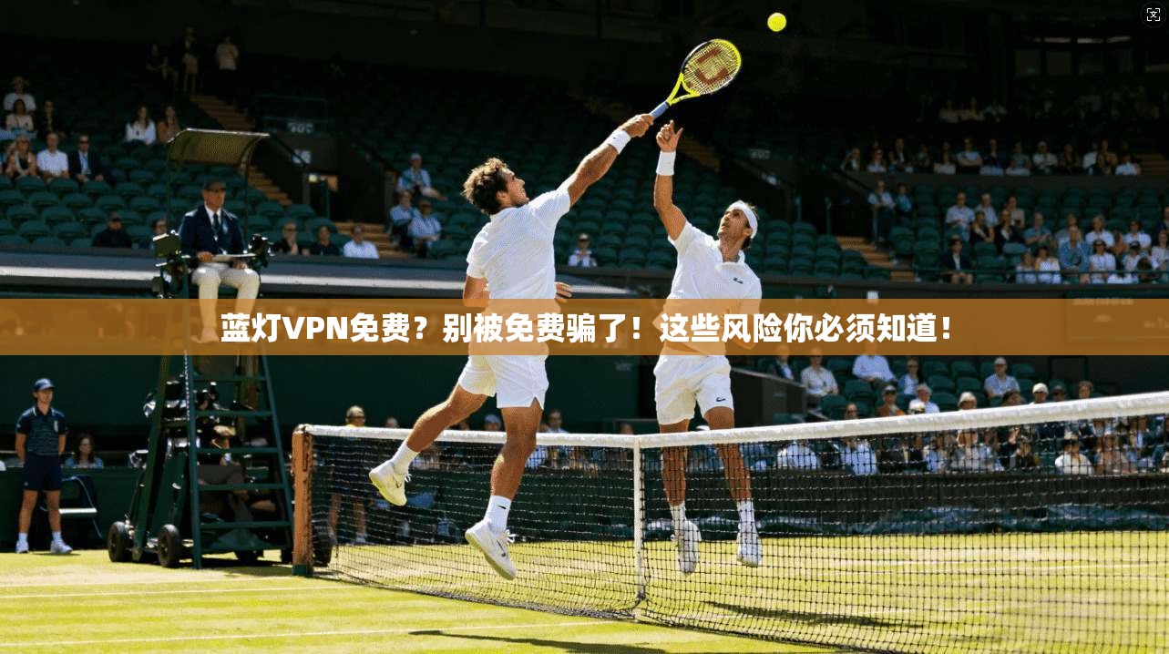 蓝灯VPN免费?别被免费骗了!这些风险你必须知道!